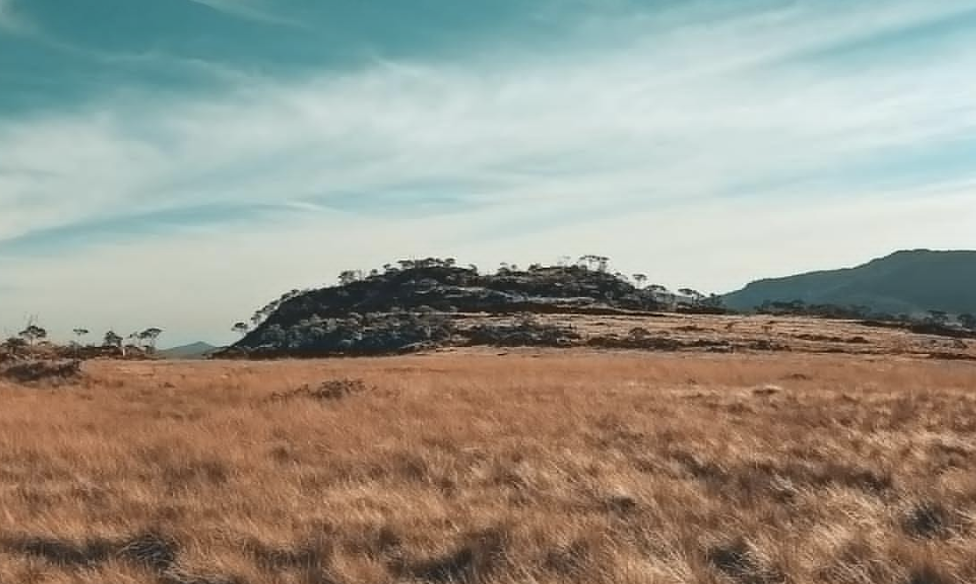 一物一码解决方案-如何实现唯一标识与精准追踪？引瓴数智帮您轻松搞定