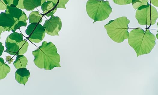 电子追溯系统搭建与应用指南-引瓴数智助您轻松掌握