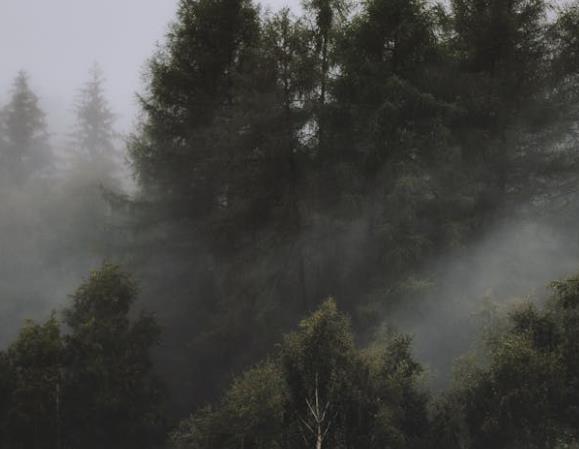 二维码溯源技术在制造业中的应用与实践-引瓴数智
