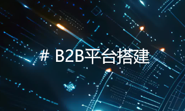 B2B平台搭建：从需求到落地的全流程专业化解决方案