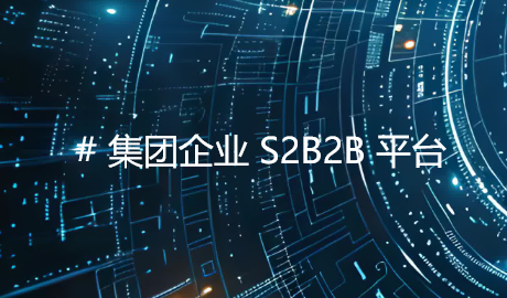客户案例：某头部集团企业 S2B2B 平台开发案例深度剖析