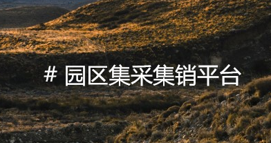 园区集采集销平台：从采购协同到销售赋能的 B 端企业全周期解决方案