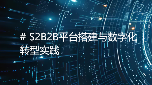客户案例：某医疗器械头部企业 S2B2B 平台搭建与数字化转型实践