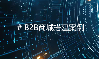 助力某医疗头部企业B2B商城搭建：破局传统困境，开启数字化新篇