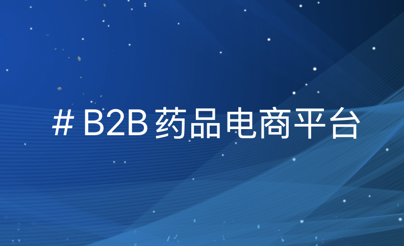 引领数智 B2B 药品电商平台搭建_重构医药流通生态_赋能企业数字化转型