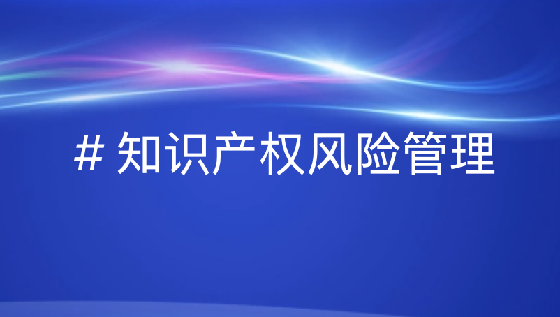 引瓴数智 - 知识产权风险管理指南：从识别到应对的全流程策略