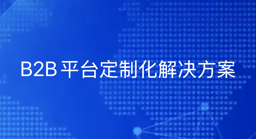 中小微企业出海新选择：B2B平台定制化解决方案-引瓴数智